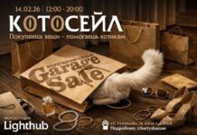 Котосейл в Алматы: винтажные вещи и забота о котиках