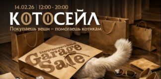 Котосейл в Алматы: винтажные вещи и забота о котиках