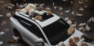 Цветы, кошки и тишина: новая эстетика автомобильной рекламы от Omoda