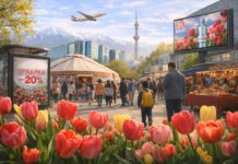 Наурыз: как маркетинг соединяет культуру и технологии