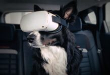 Citroën расширяет понятие комфорта: Calm Diffuser для животных