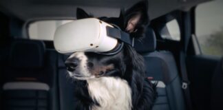 Citroën расширяет понятие комфорта: Calm Diffuser для животных