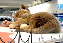 В аэропорту Гонконга появился гигантский интерактивный кот
