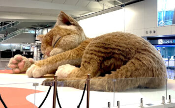 В аэропорту Гонконга появился гигантский интерактивный кот