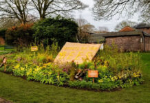 Disney и National Geographic превратили наружную рекламу в «жилье» для пчел