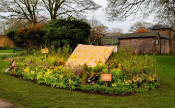 Disney и National Geographic превратили наружную рекламу в «жилье» для пчел