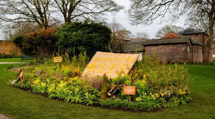 Disney и National Geographic превратили наружную рекламу в «жилье» для пчел