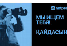 Netpeak Kazakhstan расширяет штат: 4 ключевые позиции для реализации амбициозных планов бизнеса