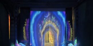 В Алматы открылась иммерсивная галерея Catharsis, где зритель становится частью выставки