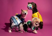 Новый фан-мерч Adidas: форма сборных теперь есть и для собак