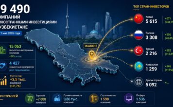 Число иностранных компаний в Узбекистане достигло 19,5 тысяч