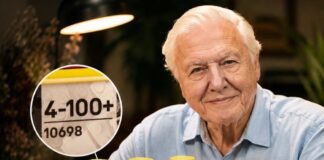 LEGO изменила возрастное ограничение в честь 100-летия Дэвида Аттенборо