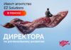 EZ Solutions ищет директора по региональному развитию