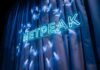 «Можно больше!»: в Алматы прошёл очередной Netpeak Friends Day