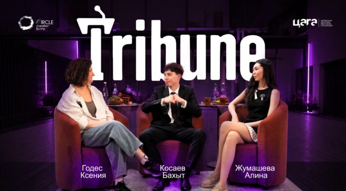 Больше чем агентство: как Circle Creative Buro объединили маркетинг, технологии, дизайн и искусство