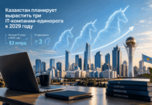 Казахстан планирует вырастить три IT-компании-единорога к 2029 году