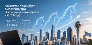 Казахстан планирует вырастить три IT-компании-единорога к 2029 году
